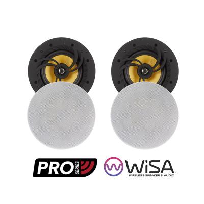 Lithe Audio 06513 Pro Series WISA bundle