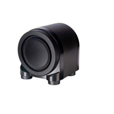 Paradigm Seismic 110