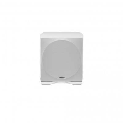 تحدي النموذج الموسم العاشر