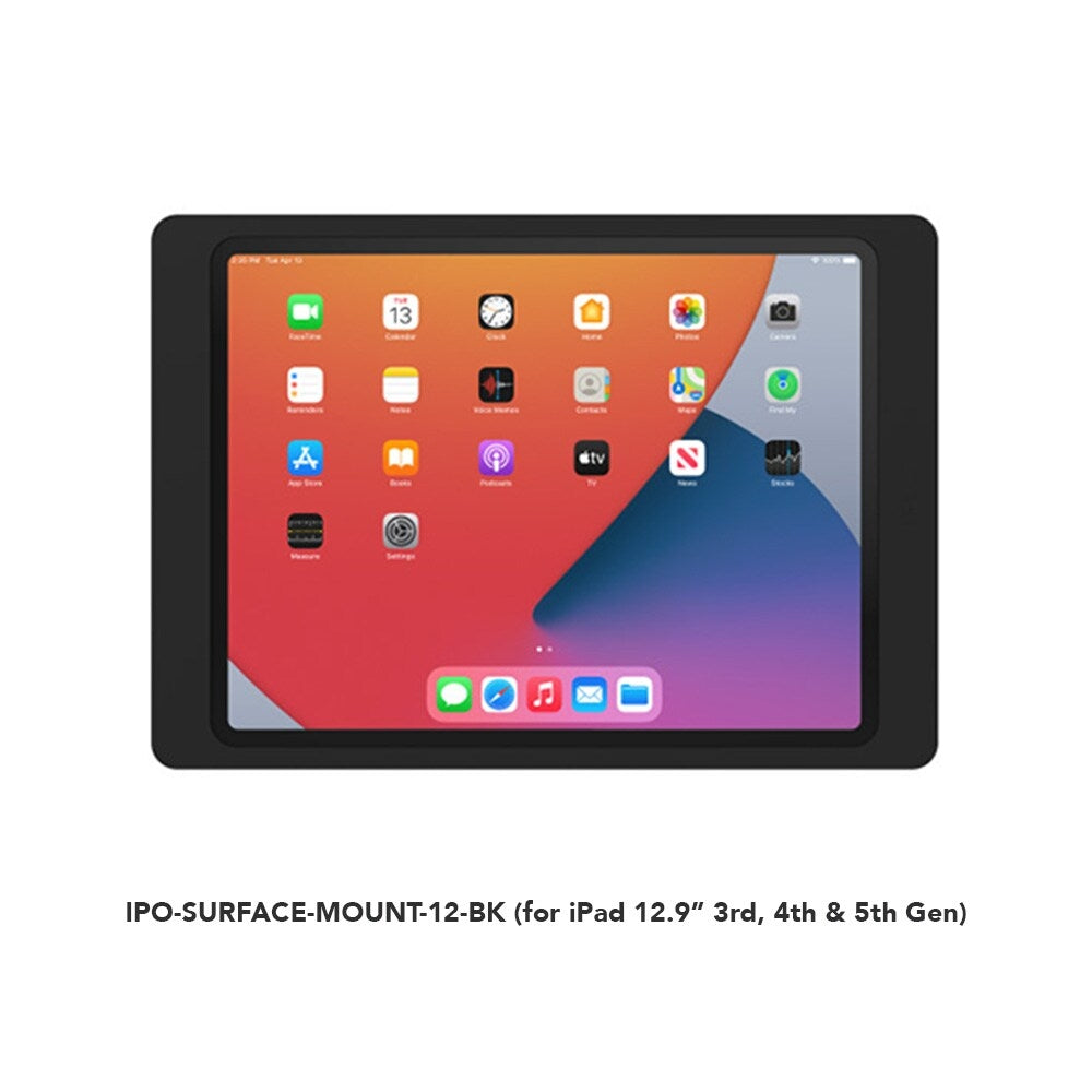 iPort Surface Mount Case  10